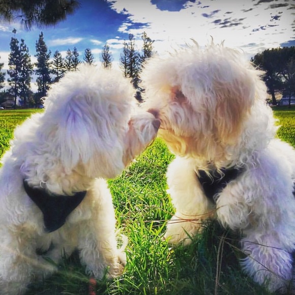 Welcome to JAMROCK  (my name is JAMie💁🏻‍♀️) - Picture 4 of 6